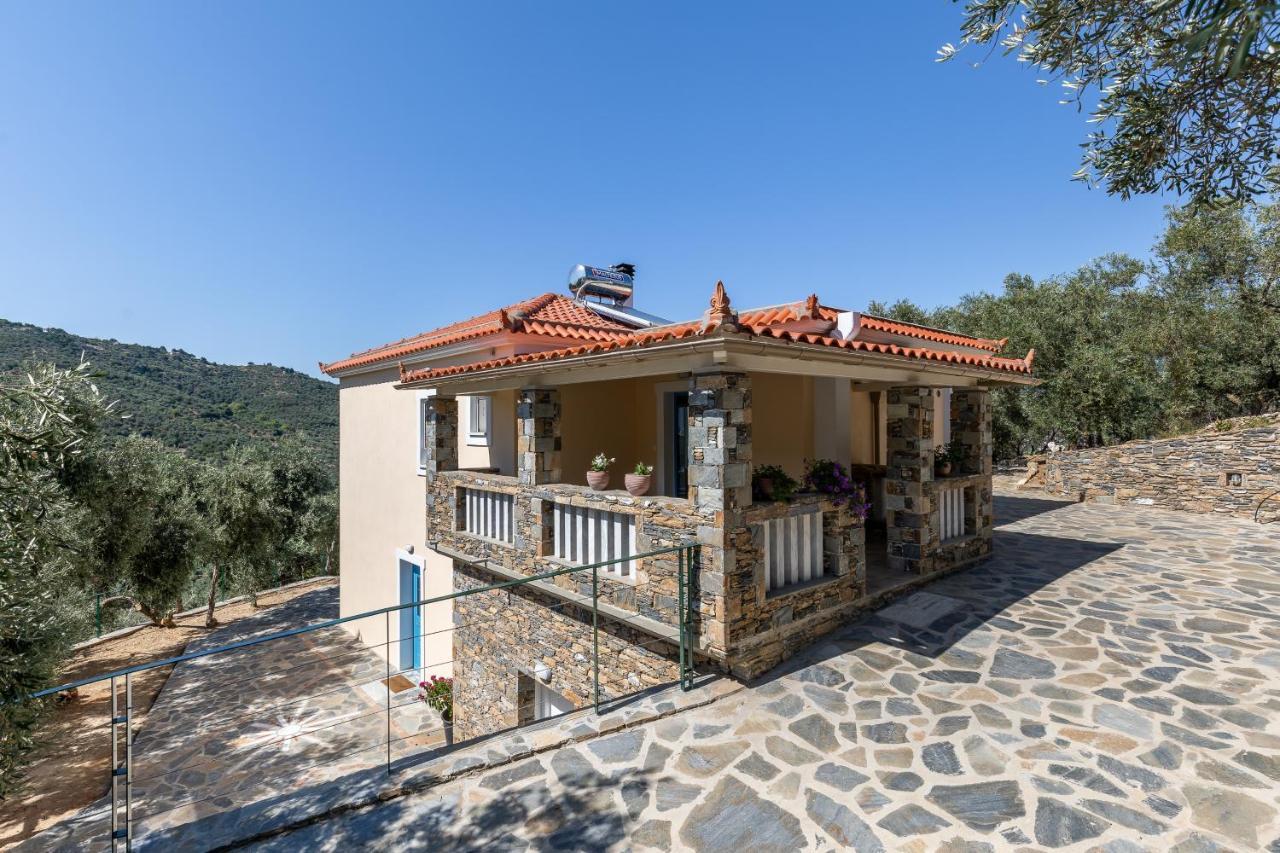 Villa Ifigeneia με πισίνα και υπέροχη θέα Skopelos Town