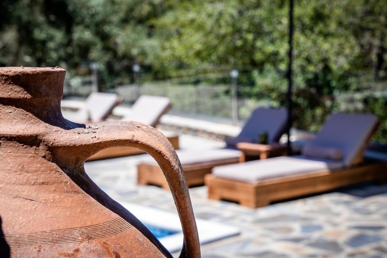 Villa Ifigeneia με πισίνα και υπέροχη θέα *